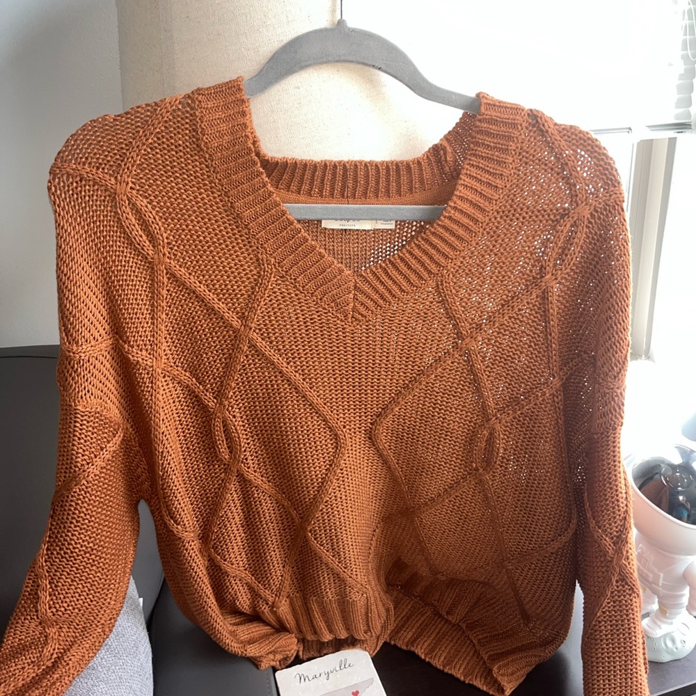 Francesca’s Brown Sweater